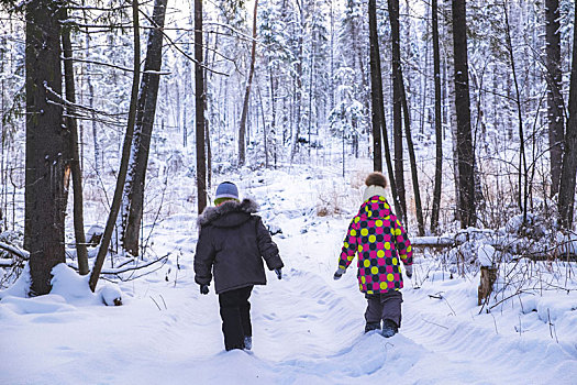 男孩,女孩,走,雪中,遮盖,树林,后视图