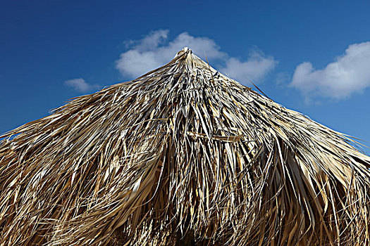 棕榈叶,海滩伞,阿鲁巴,加勒比海