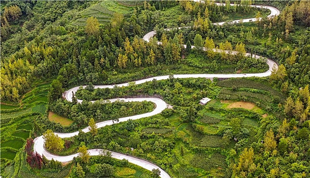 重庆酉阳,乡村公路秋意浓