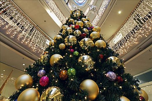 圣诞树,装饰,大,球,百货公司,北莱茵威斯特伐利亚,德国