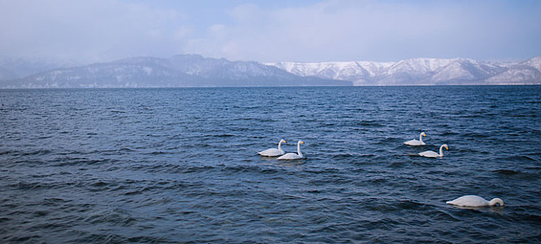 北海道湖景