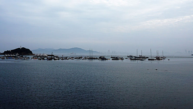 很多船停靠在青岛飞翔码头