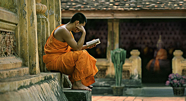 僧侣,读,书本,庙宇