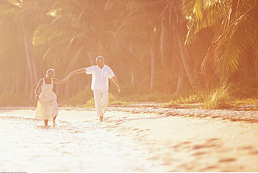 夫妻,走,海滩,巴哈马