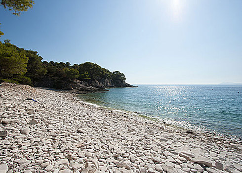 白色,石头,海滩,克罗地亚