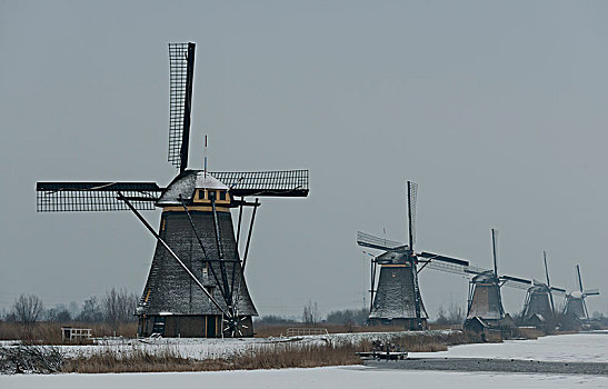传统,风车,小孩堤防风车村,荷兰