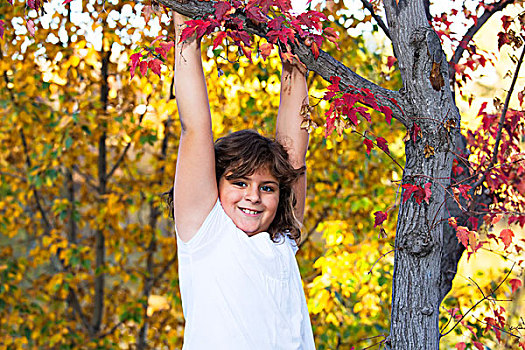 女孩,悬挂,树,公园,秋天,埃德蒙顿,艾伯塔省,加拿大