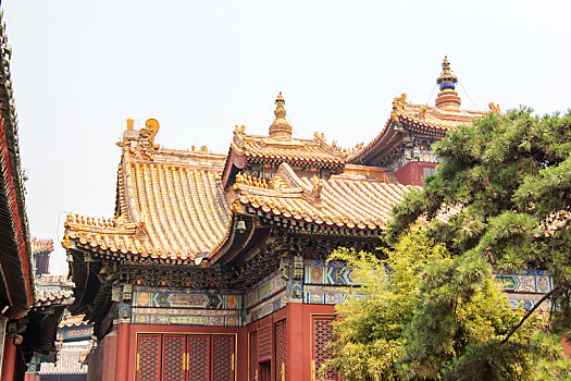 北京景点风景区雍和宫