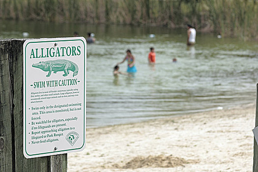 鳄鱼,警告标识,湖岸,佛罗里达,美国