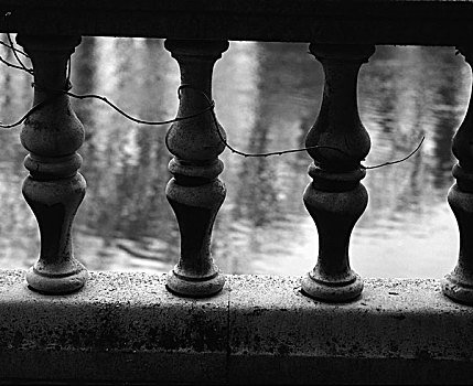 三个,古典,风格,栏杆,柱子,常春藤,缠结,约克,花园,英国,一月,2000年