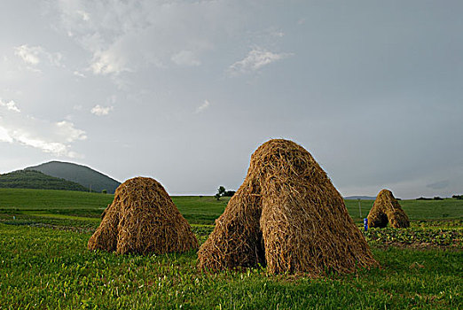干草,堆积,土地,区域,斯洛伐克