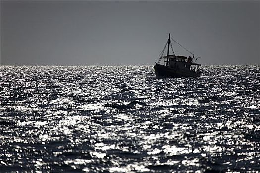 马耳他,湾,捕鱼,船,海岸