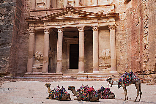 骆驼,正面,财政部,佩特拉,约旦