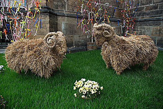 绵羊,干草,草地,石墙