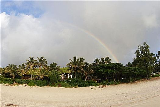 夏威夷,瓦胡岛,北岸,彩虹,拱形,上方,植被,沙滩