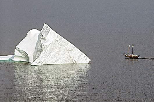冰山,帆船,纽芬兰,加拿大,游船