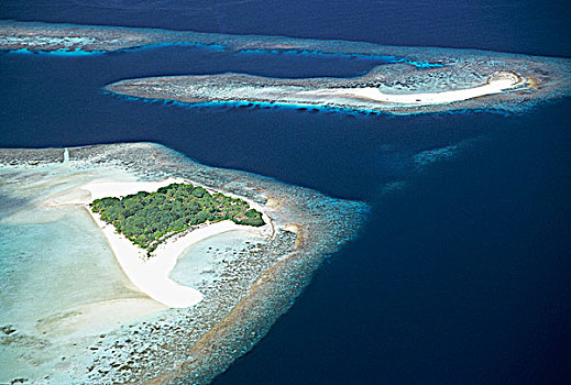 马尔代夫,阿里环礁