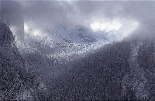 天气,薄雾,雾,上方,冬天,云,雪,山峦,巴伐利亚