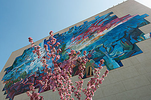 彩色,抽象,壁画,侧面,建筑,樱花,树,埃德蒙顿,艾伯塔省,加拿大