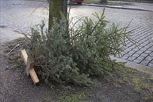 圣诞树,道路,汉堡市,德国