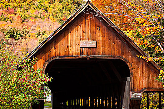秋天,遮盖,中间,桥,佛蒙特州,美国