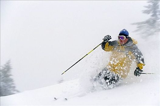 男人,高山滑雪,大,蒙大拿,雪