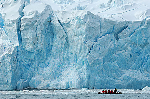 南极,大象,岛屿,游客,黄道十二宫,正面,冰河
