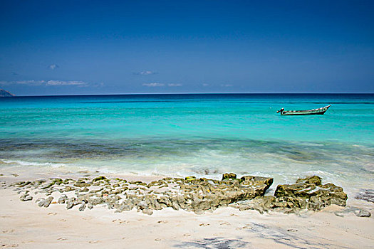 渔船,青绿色,水,湾,岛屿,索科特拉岛,也门,亚洲