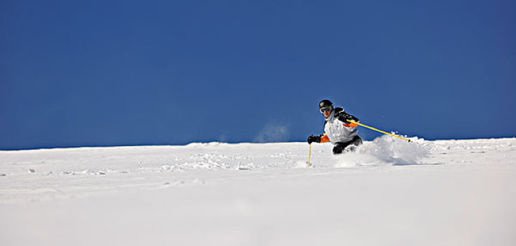 男人,滑雪,自由,乘,下坡,冬天,漂亮,晴天,粉状雪
