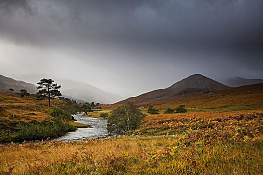 平和,风景,河流,苏格兰