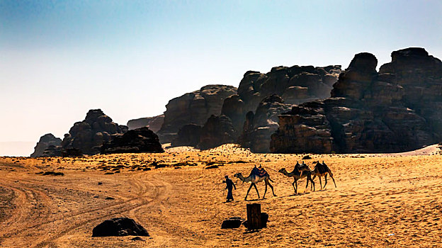 骆驼,黄色,沙丘,山谷,月亮,瓦地伦,约旦