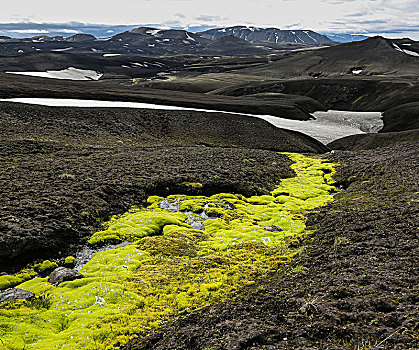 冰岛,绿色,苔藓,小,溪流,黑色,火山岩,沙子,荒芜,雪地,山