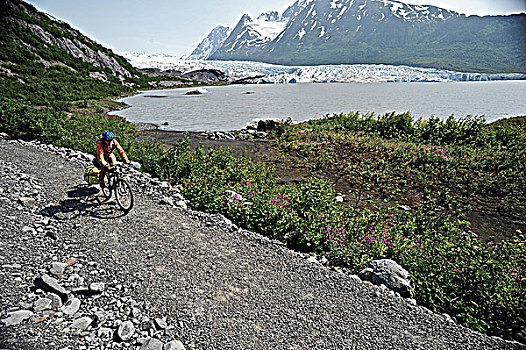 女人,骑自行车,小路,冰河,楚加奇国家森林,肯奈半岛,阿拉斯加,夏天