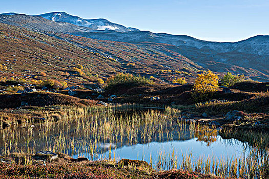 小,高山湖,反射,秋色,道路,上方,挪威,欧洲