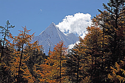 四川稻城风景