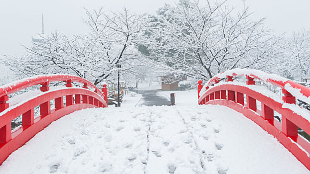 武汉冬日雪景风光