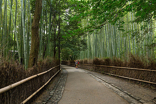 竹林,岚山