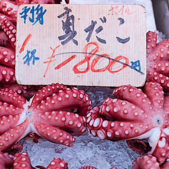红色,生活方式,章鱼,筑地,鱼市,东京,日本