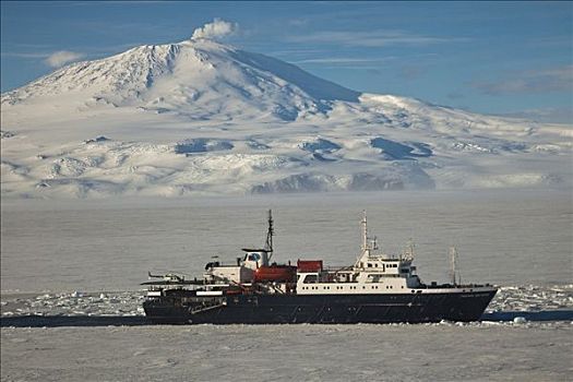 码头,俄罗斯,游船,海冰,罗斯海,南极