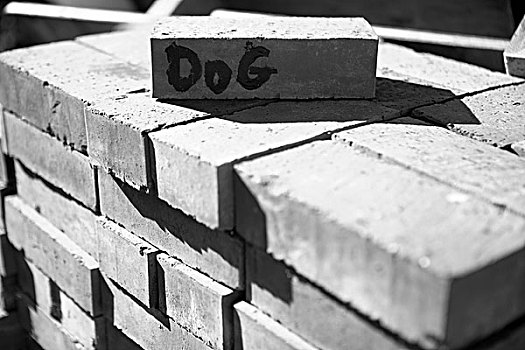 砖,狗