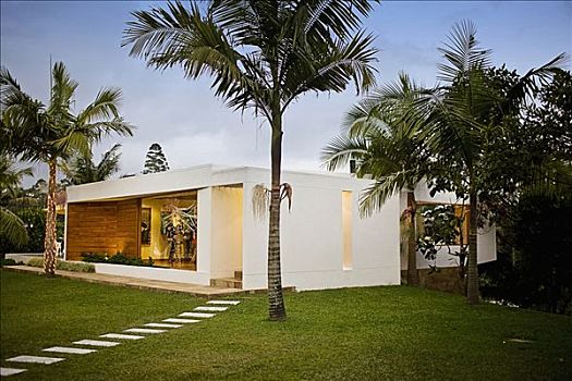 棕榈树,房子