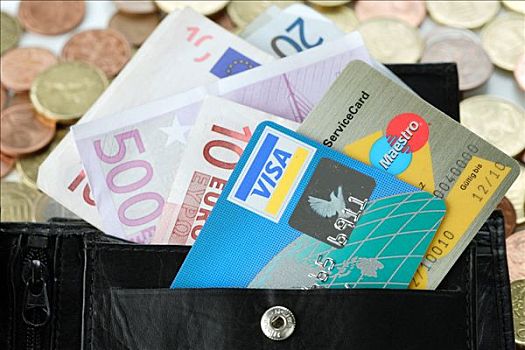 维萨卡,信用卡,欧盟,卡,欧元,钞票,硬币,钱包