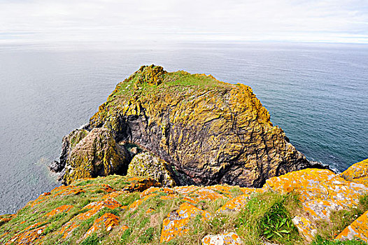 石头,大西洋,海岸,康沃尔,蜥蜴,英格兰,英国,欧洲