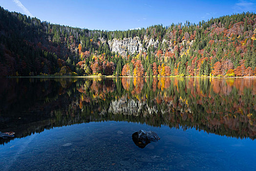 反射,秋天,湖,黑森林,巴登符腾堡,德国,欧洲