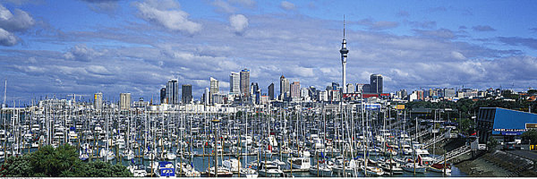 码头,奥克兰,新西兰
