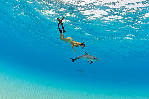 水下呼吸管,幼兽,大西洋点斑原海豚,花斑原海豚,大巴哈马岛,巴哈马,中美洲