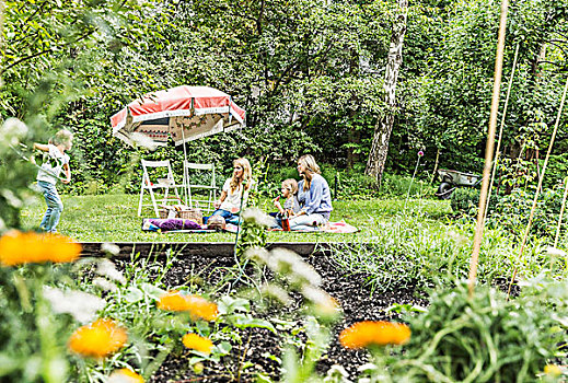 两个女人,两个女孩,野餐,花园