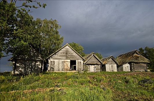 渔村,国家公园,爱沙尼亚,波罗的海国家,东北方,欧洲