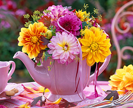 大丽花,茴香属,花束,粉色,茶壶