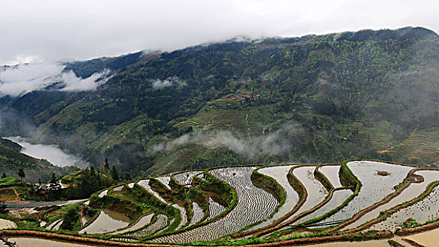 加榜梯田